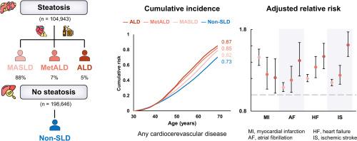 Attributable burden of steatotic liver disease on cardiovascular outcomes in Asia