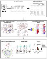 Active compounds and target genes investigation for Tongxie-Yaofang treatment in diarrhea predominant-irritable bowel syndrome based on network pharmacology study