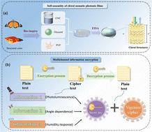Multi-channel information encryption based on the structural color and photoluminescence capability of cellulose nanocrystal flexible films†