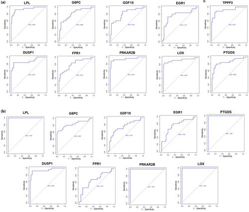 Tracing the molecular landscape of diabetic nephropathy: Insights from machine learning and experiment verification