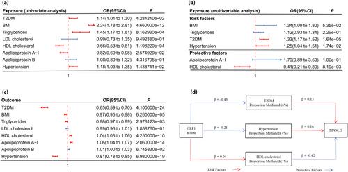 Genetic analysis of the correlation between GLP1 action and metabolic liver disease: Insights from Mendelian randomization analysis