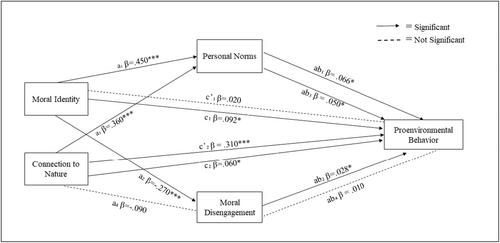 Understanding Proenvironmental Behavior: A Model Based on Moral Identity and Connection to Nature