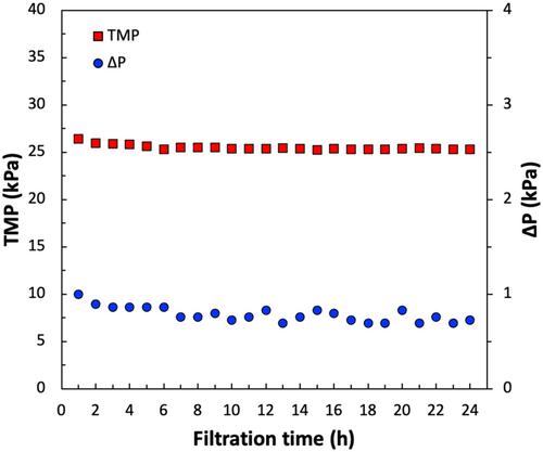 Integration of Single Pass Tangential Flow Filtration and High Performance Countercurrent Membrane Purification for Intensification of Monoclonal Antibody Processing
