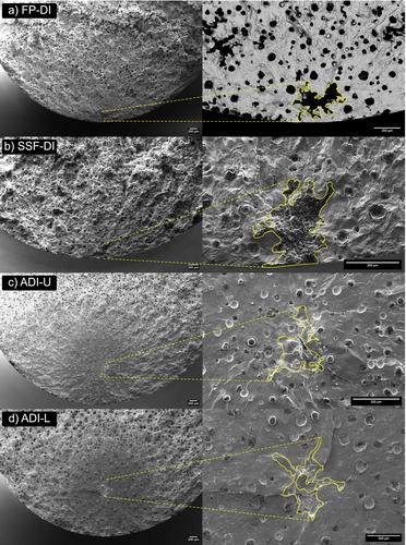 Very High Cycle Fatigue Performance of Ductile Cast Iron With Different Microstructures