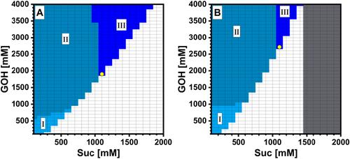 The P134Q Sucrose Phosphorylase: Subtle Changes in the Catalytic Properties Benefit the Production of 2-O-α-Glucosyl Glycerol