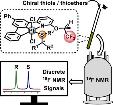 A 19F-Labeled Probe for the Chiral Discrimination of Thiols and Thioethers