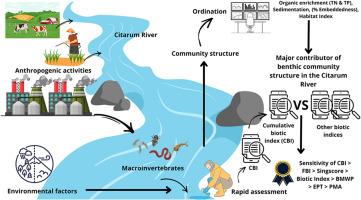 Performance of the Cumulative Biotic Index (CBI) and other biotic indices in assessing ecological health of the Upper Citarum River, Indonesia