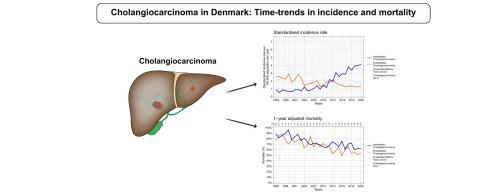 Cholangiocarcinoma in Denmark: Time-trends in incidence and mortality