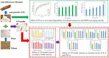 Exploration of in vitro digestive, antioxidative, and anti-inflammatory benefits of yam (Dioscorea rhizoma) powder-enriched noodles