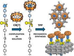 Surface inclusion and dynamics of cucurbit[7]uril-based supramolecular complexes†