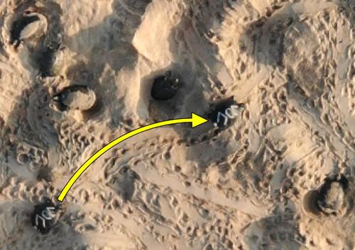 Estimating abundance of aggregated populations with drones while accounting for multiple sources of errors: A case study on the mass nesting of Giant South American River Turtles