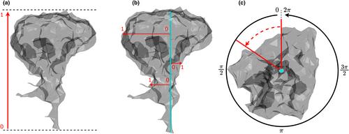 LeafGen: Leaf generation in 3D tree models