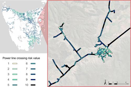 Fine-scale spatial risk models to predict avian collisions with power lines