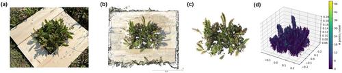 Advancing plant biomass measurements: Integrating smartphone-based 3D scanning techniques for enhanced ecosystem monitoring