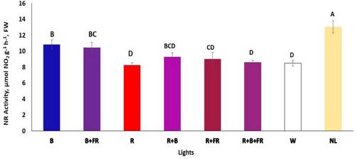 Impact of Hydrolyzed Keratin Derived From Waste Sheep Wool on Growth Regulation and Nitrate Accumulation in Lettuce Grown Under Various LED Lighting Conditions