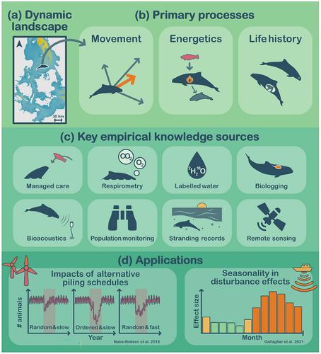 Empirical ecology to support mechanistic modelling: Different objectives, better approaches and unique benefits