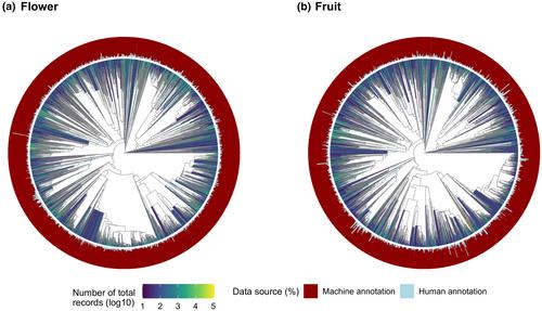 PhenoVision: A framework for automating and delivering research-ready plant phenology data from field images