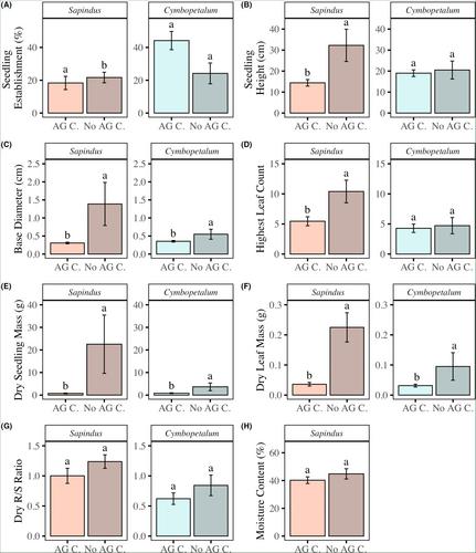 Above-ground competition by Nephrolepis brownii inhibits tree seedling recruitment in a tropical restoration experiment