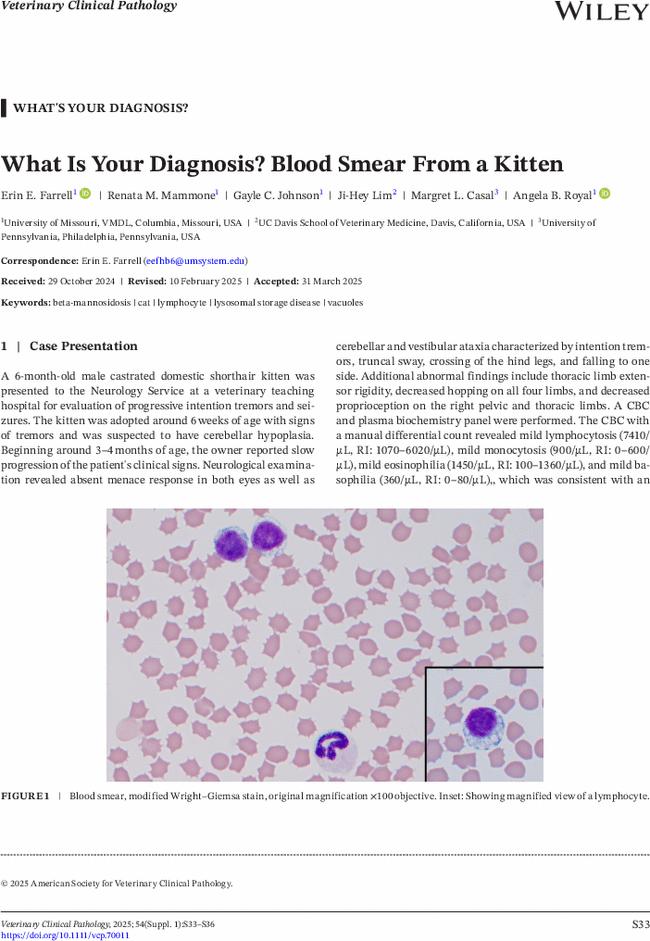 What Is Your Diagnosis? Blood Smear From a Kitten