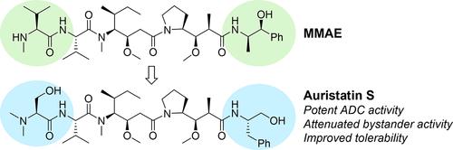 Auristatin S: An Auristatin Payload with Improved Tolerability and Modified Bystander Activity