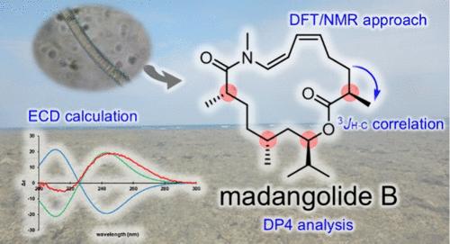 Isolation and Computer-Based Structural Determination of Madangolide B