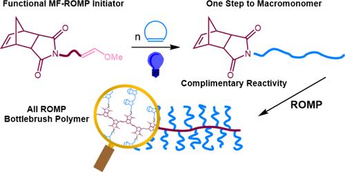 Combining Metal-Free and Metal-Mediated Ring-Opening Metathesis Polymerization for Efficient Synthesis of Bottlebrush Polymers