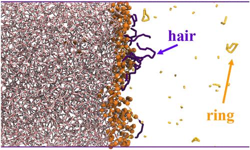 Molecular Level Structure of the Liquid–Vapor Interface of Hydrogen Fluoride