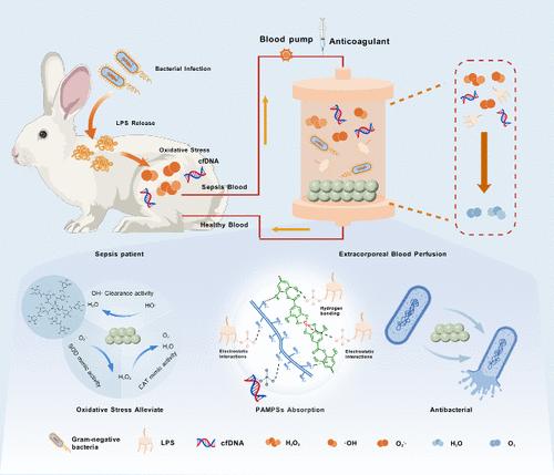 Interface-Engineered Polystyrene-Divinylbenzene Microspheres with Polyethylenimine and Metal-Phenolic Networks for Multifunctional Sepsis Hemoperfusion