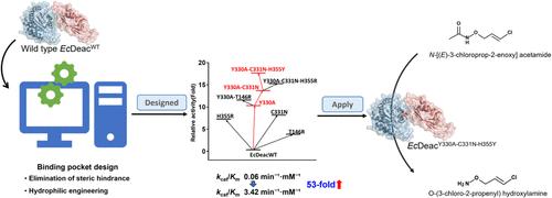 Highly Efficient Biosynthesis of O-(3-Chloro-2-propenyl)hydroxylamine through Structure-Guided Engineering of Deacetylase