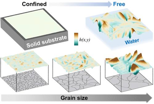 Intrinsic Wrinkling of Free-Standing Polycrystalline Atomically Thin Films