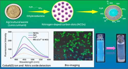 Green Synthesis of Biomass-Derived Nitrogen-Doped Carbon Dots for Selective Co2+ and Nitric Oxide Sensing and Bioimaging Applications