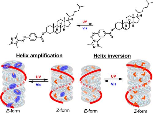 Photoresponsive Helicity Control in Cholesteric Liquid Crystals Using a Chiral Arylazopyrazole Dopant: Chirality Amplification and Helix Inversion