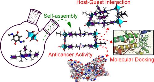 Rhenium(I)-Based Tetranuclear Metallorectangles from Linear BODIPY and Bischelating Aminoquinonato Ligands: Anticancer Properties, Host–Guest Interactions, and Molecular Docking Studies
