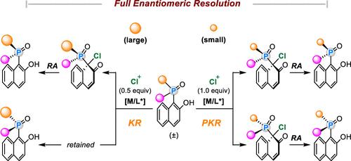Catalytic Asymmetric P-Site Dearomatization Enables Kinetic Resolution