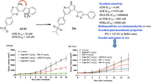 Discovery of 1H-Pyrrolo[2,3-b]pyridine Derivatives as Highly Selective, and Orally Available ATM Inhibitors with Potent In Vivo Antitumor Activity