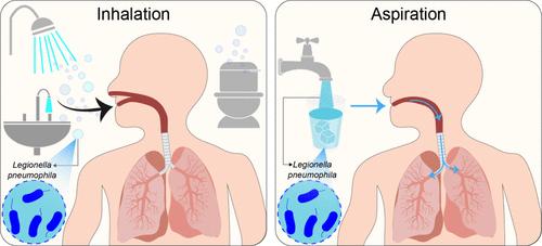The Role of Aspiration in Legionnaires’ Disease: A Quantitative Microbial Risk Assessment (QMRA)-Based Comparison with Inhalation Exposures