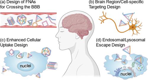 Framework Nucleic Acid Nanomaterials for Central Nervous System Therapies: Design for Barrier Penetration, Targeted Delivery, Cellular Uptake, and Endosomal Escape