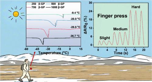 Humic Acid and Cellulose Nanocrystal-Based Antifreeze Nanocomposite Hydrogel Flexible Sensor