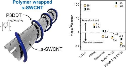 Gate Dielectric Effects on Ambipolar Transport in Polymer-Wrapped Single-Walled Carbon Nanotube Network Transistors