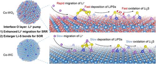 Electronegative Co-WO2 Interface with Li+ Pump Effects for Efficient Polysulfide Conversion in High-Performance Li-Sulfur Batteries