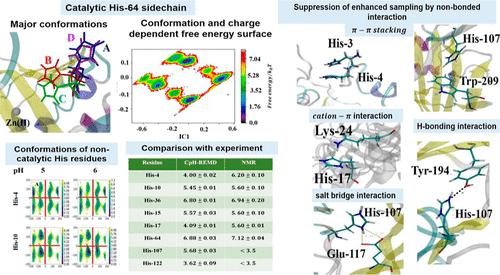 Enhanced Sampling and Conformation-Dependent pKa of Histidine Side Chains: A Case Study in Human Carbonic Anhydrase II