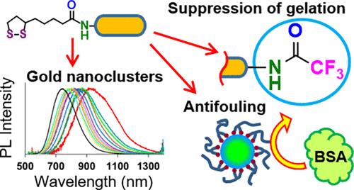 Thioctic Acid-Based Compact Hydrophilic Ligands for Biocompatible Quantum Dots and Gold Nanoparticles: Facile Synthesis and Improved Utility