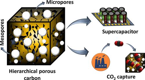Hierarchically Architectured Nanoporous Biocarbons Prepared via Dual Chemical Activation for Applicability in CO2 Capture and Supercapacitors
