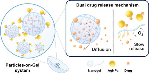 Tunable Drug Release through Varying Drug Affinities for Ocular Chronic Disease