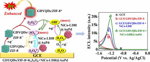 Highly Electroactive ZIF-67-Derived NiCo-LDH Nanocages as an Efficient Coreaction Accelerator for Amplifying the Electrochemiluminescence of Graphdiyne-Based Quantum Dot-Functionalized ZIF-8 in the Biomarker Immunoassay
