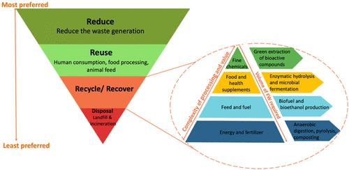 Review of Advanced Technologies and Circular Pathways for Food Waste Valorization
