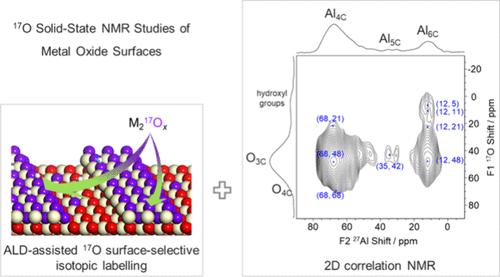 Atomic Layer Deposition-Assisted Surface-Selective Isotopic Labeling for the 17O Solid-State NMR Studies of Metal Oxide Surfaces