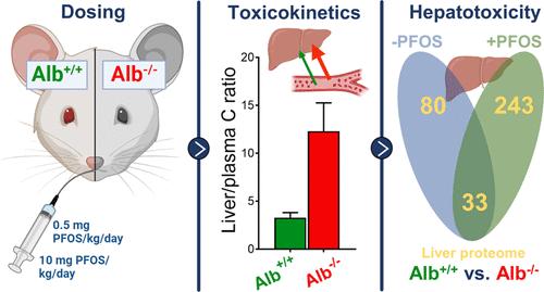 Toxicokinetics and Perfluorooctanesulfonic Acid-Induced Liver Protein Expression Are Markedly Altered in Mice Lacking Albumin