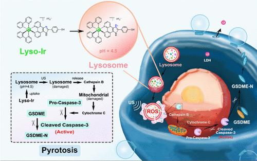 A Lysosome-Targeted Iridium(III) Complex Inducing Pyroptosis for Enhanced Sonodynamic Therapy of Colorectal Cancer