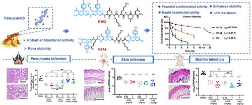 Halogenated Sulfono-γ-AApeptides Modified Cationic AMPs Have Enhanced Stability and Therapeutic Potential against Clinically Important MDR Infections